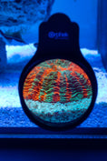Load image into Gallery viewer, orphek-omini-glass-lens-for-reef-aquarium