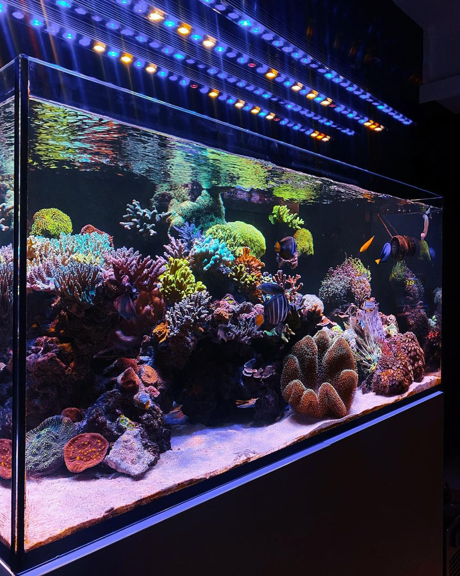 orphek_or4_reef_aquarium_led_bars
