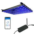 Load image into Gallery viewer, osix_controller_with_or3 - Orphek