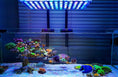 Cargar imagen en el visor de la Galería, Atlantik iCon – Iluminación LED para acuarios de arrecife