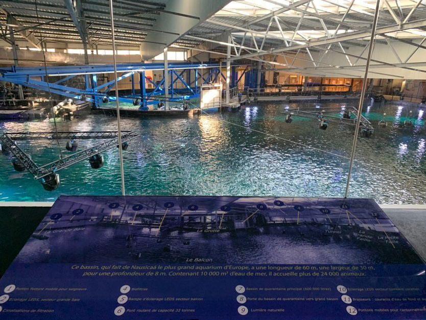 Watch a New Exciting Video – The Revolutionary Reef Lighting for Public Aquariums!