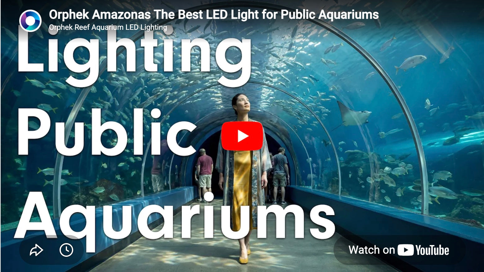 Watch a New Exciting Video – The Revolutionary Amazonas for Public Aquariums!