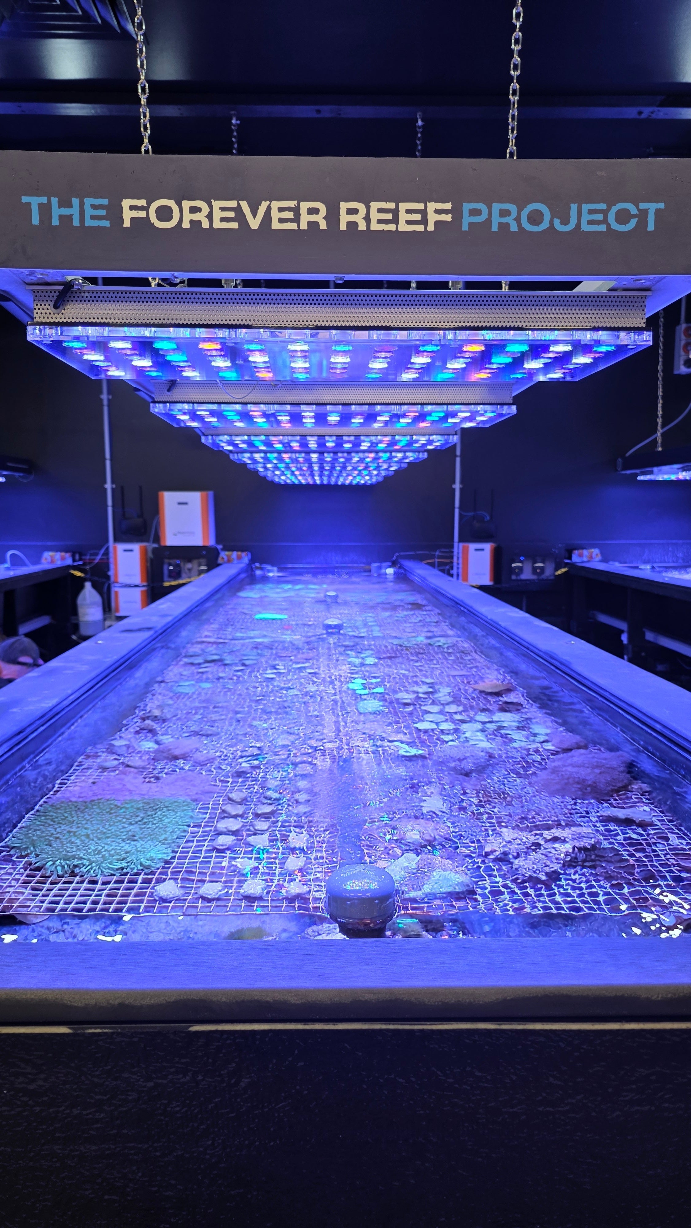 Orphek iCon LED Solutions and Coral Farms