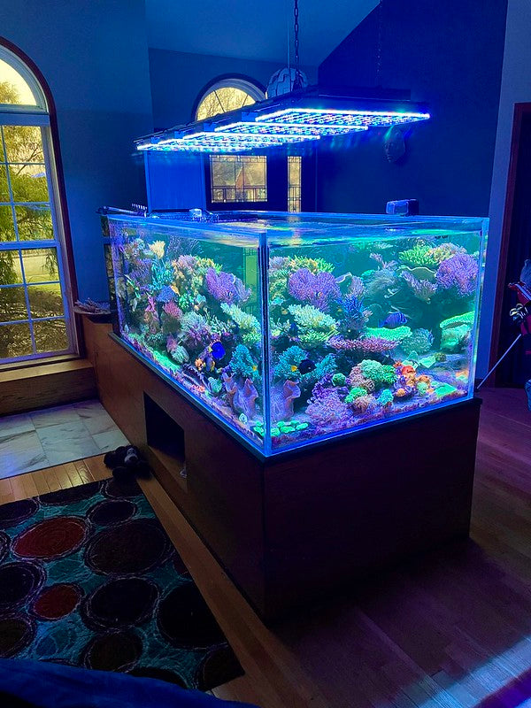 Atlantik iCon Reef Aquarium LED Light First Impression Reviews by Clients