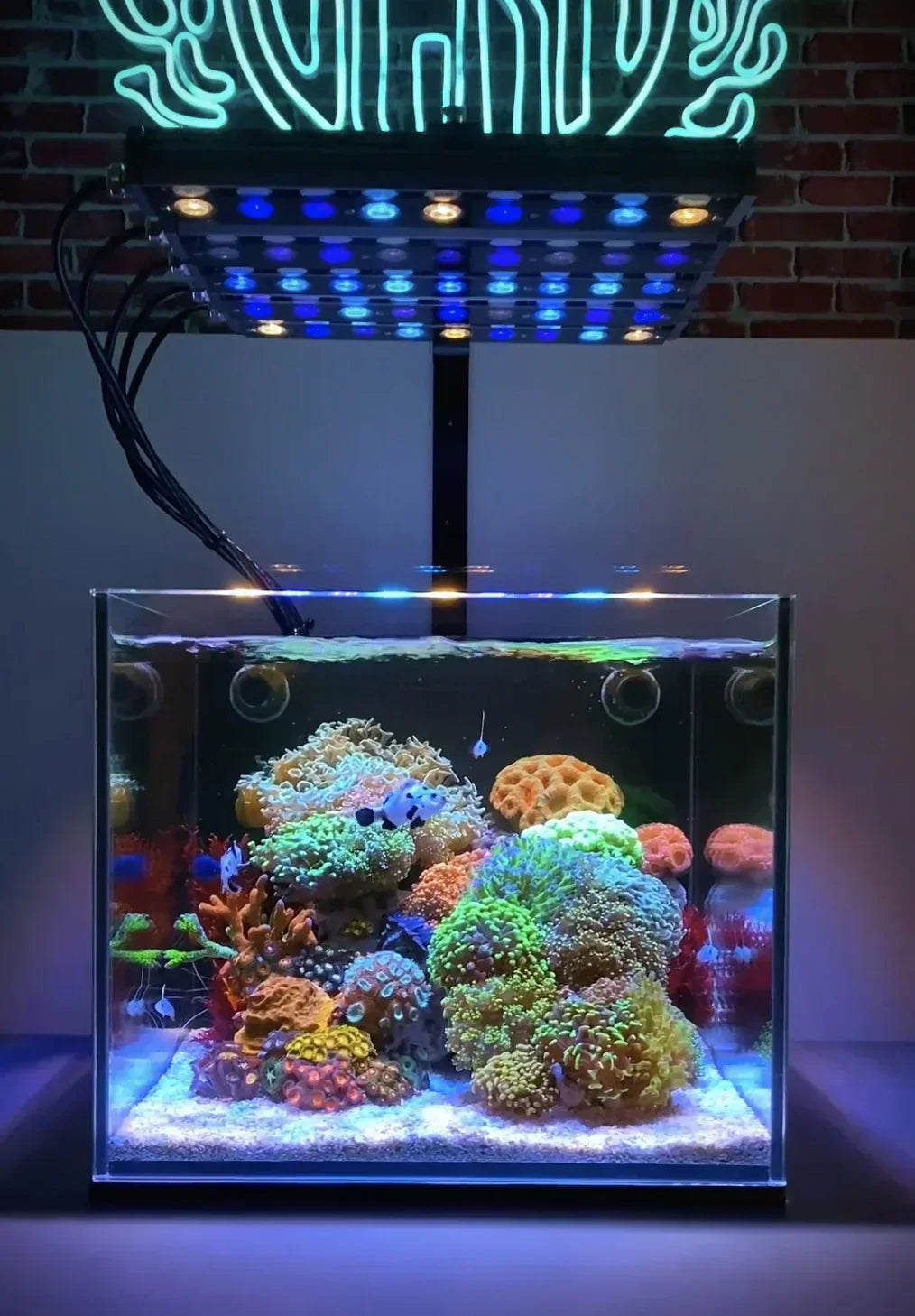 Nano_tank_OR4_iCon_LED_Bars