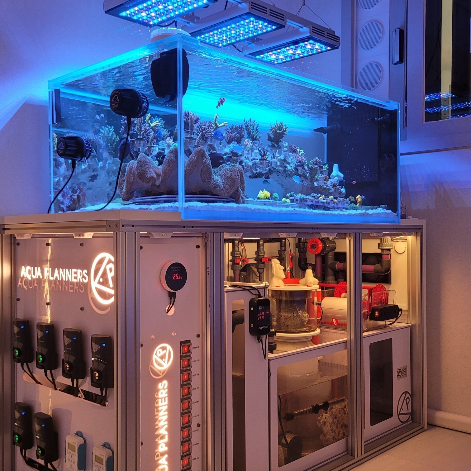 Master Your Aquarium Layout with Orphek LED Lighting