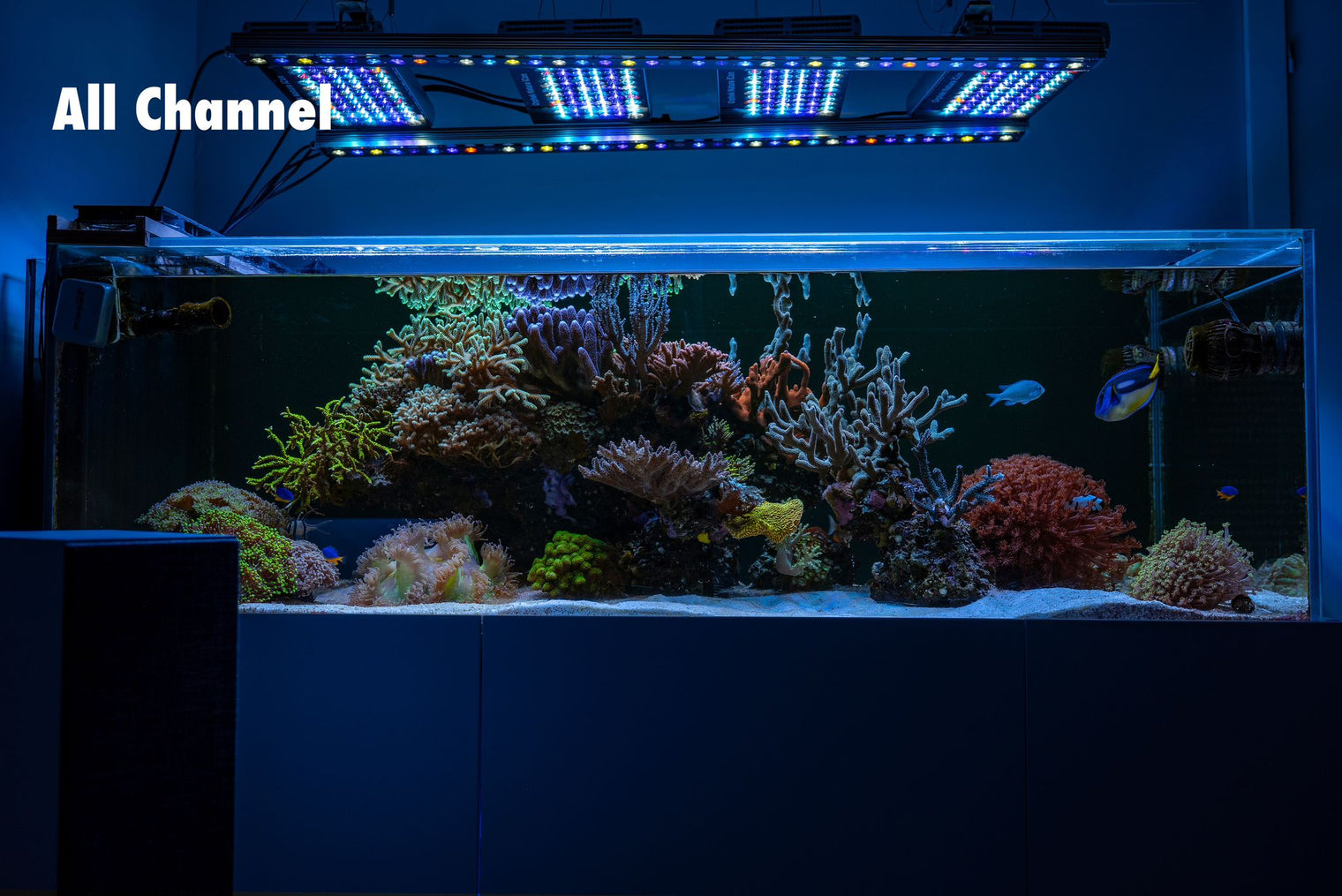 Orphek Natura iCon Sun & Moon Sync reef aquarium LED lighting – New product launch