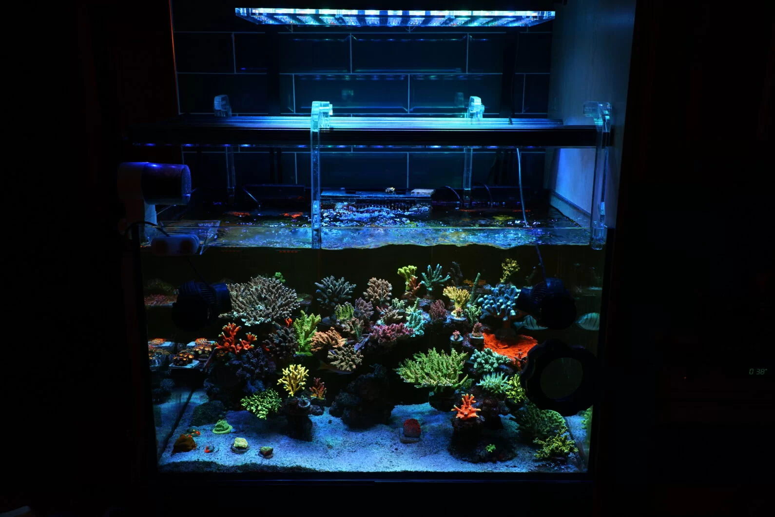 Unleash vibrant coral colors with Orphek Atlantik iCon & OR3 LED: A guide to achieving an outstanding reef tank