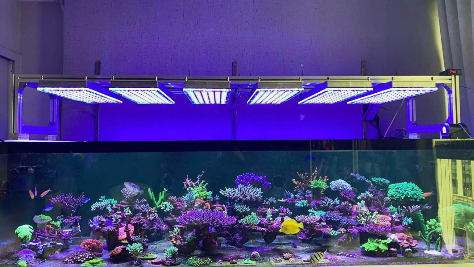 40 Reef aquarium layouts with Atlantik iCon and OR3 LED Bars