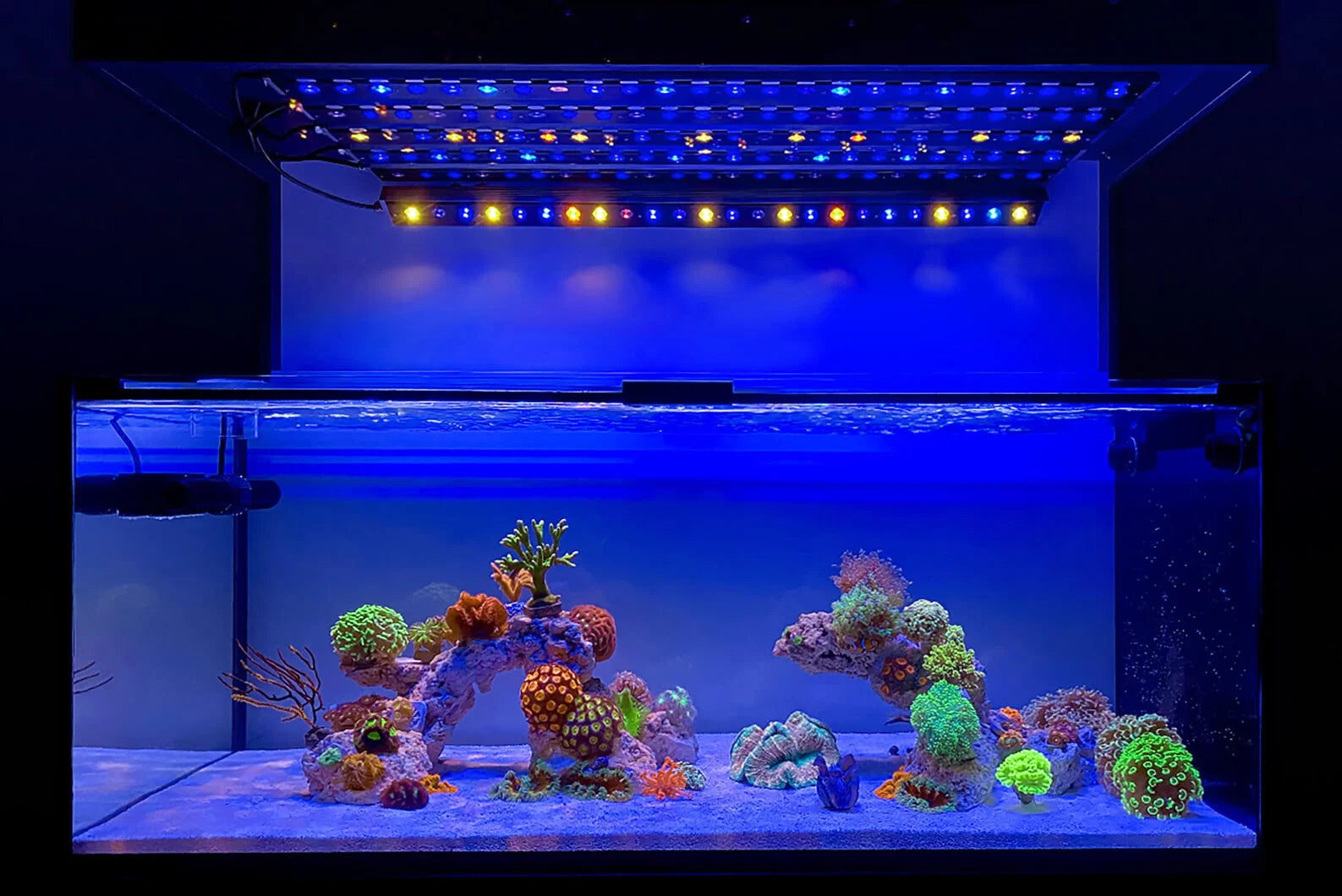 Orphek Osix 90 OR3 Reef LED Bar PAR measuring video by Becker Reef