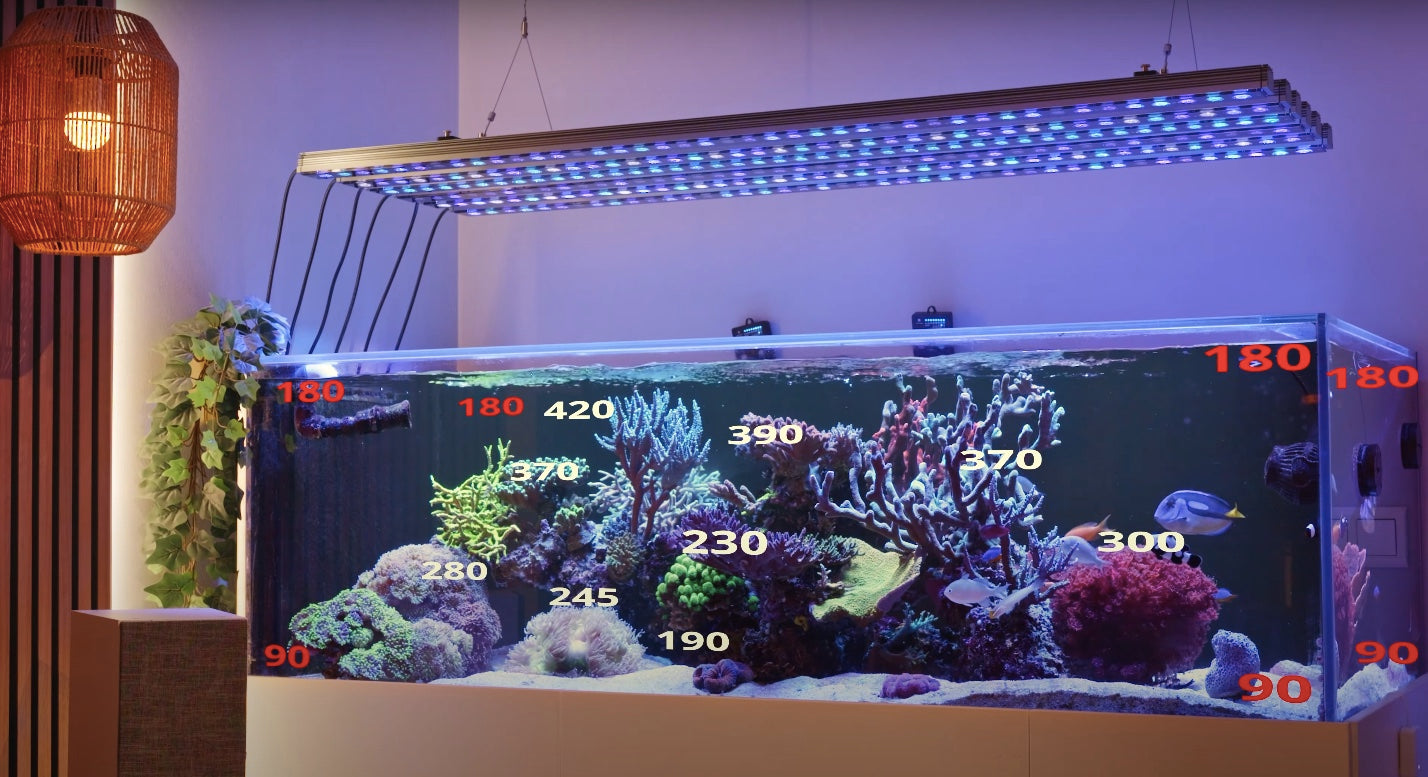 Lighting Up the Depths: Explore PAR Performance with OR4 iCon Reef LED Bar
