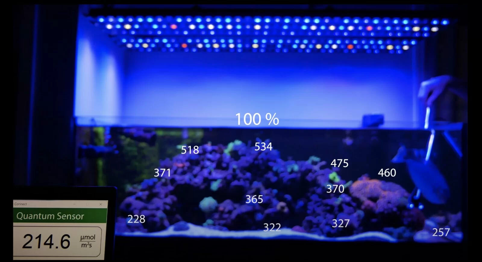 Orphek Osix & OR3 reef LED bars combo PAR readings in 4k video review - Part II