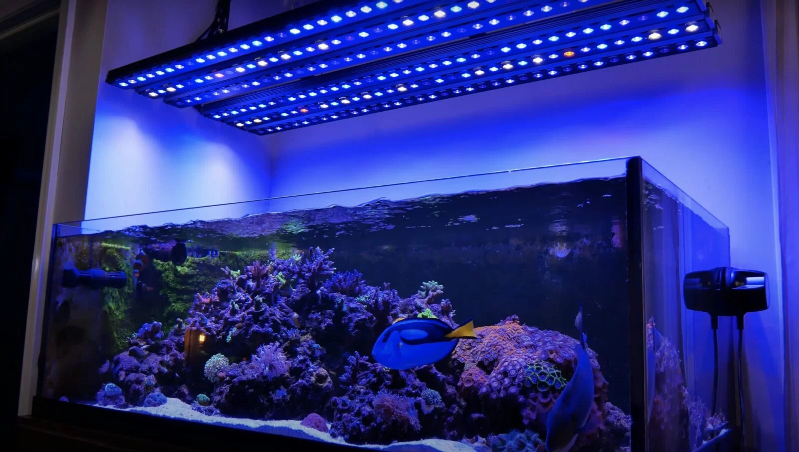 Osix OR3 reef LED bars combo 4k video review and why this may be the best LED system for reef of the year