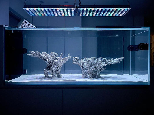 Most beautiful aquascape reef tanks  -  Atlantik iCon LED lighting