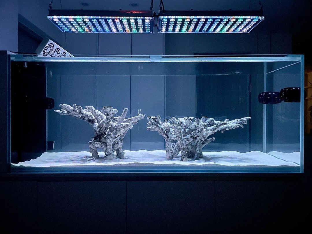 Picture of Most beautiful aquascape reef tanks - Atlantik iCon LED lighting – Orphek