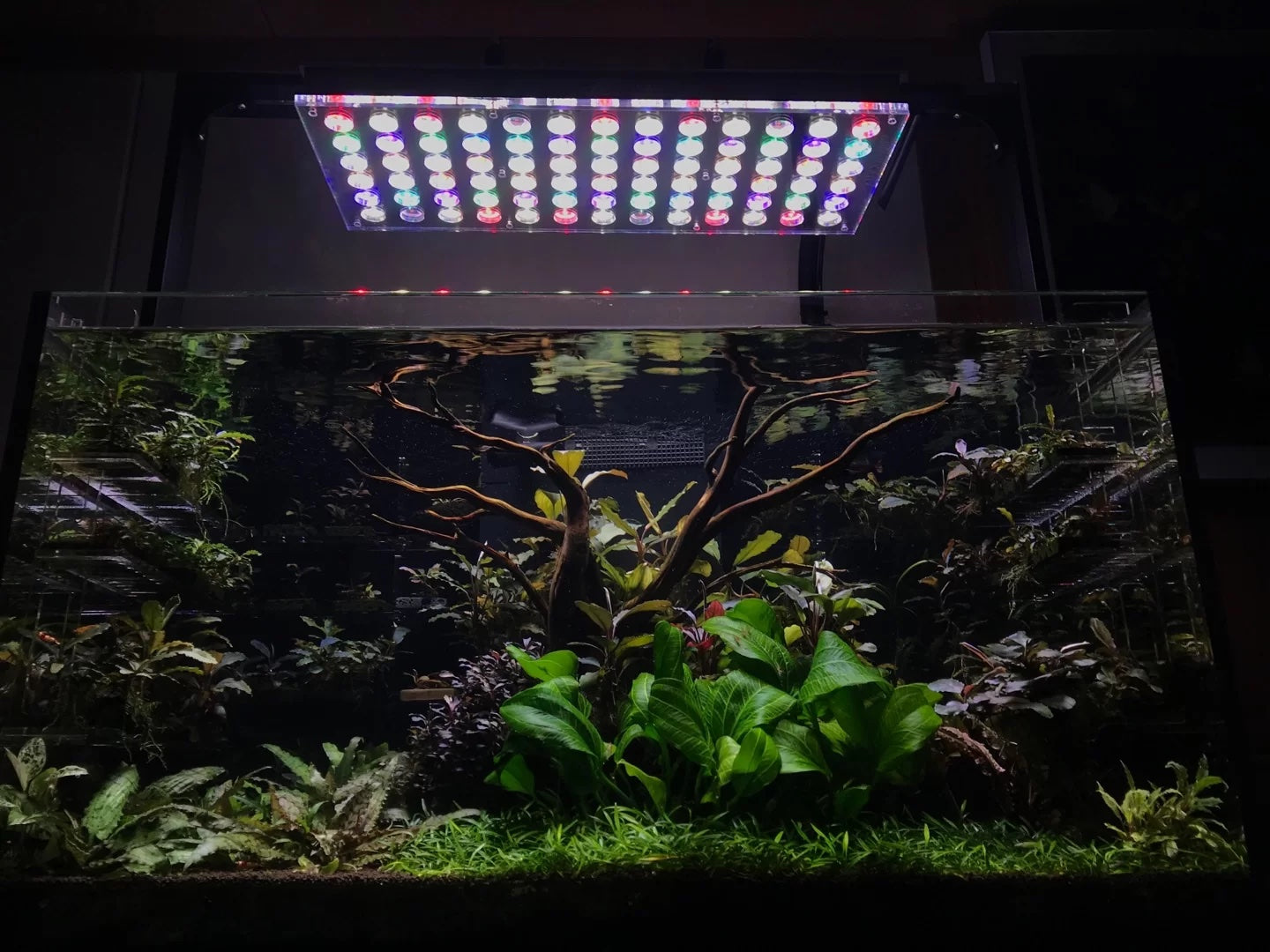 Orphek Atlantik iCon Customizing for Freshwater Planted Aquariums