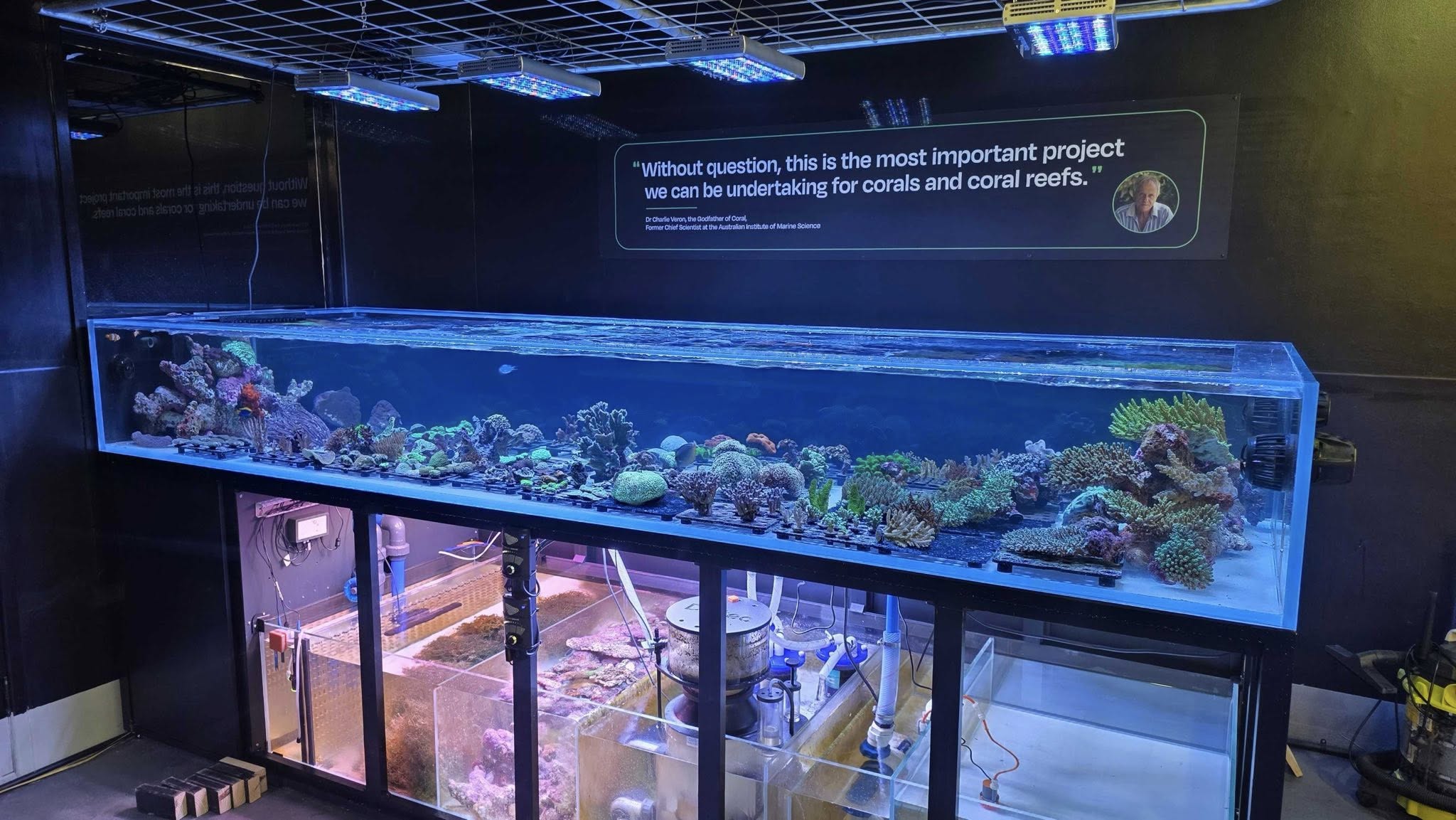 Orphek  & Forever Reef Project: Lighting Coral Conservation