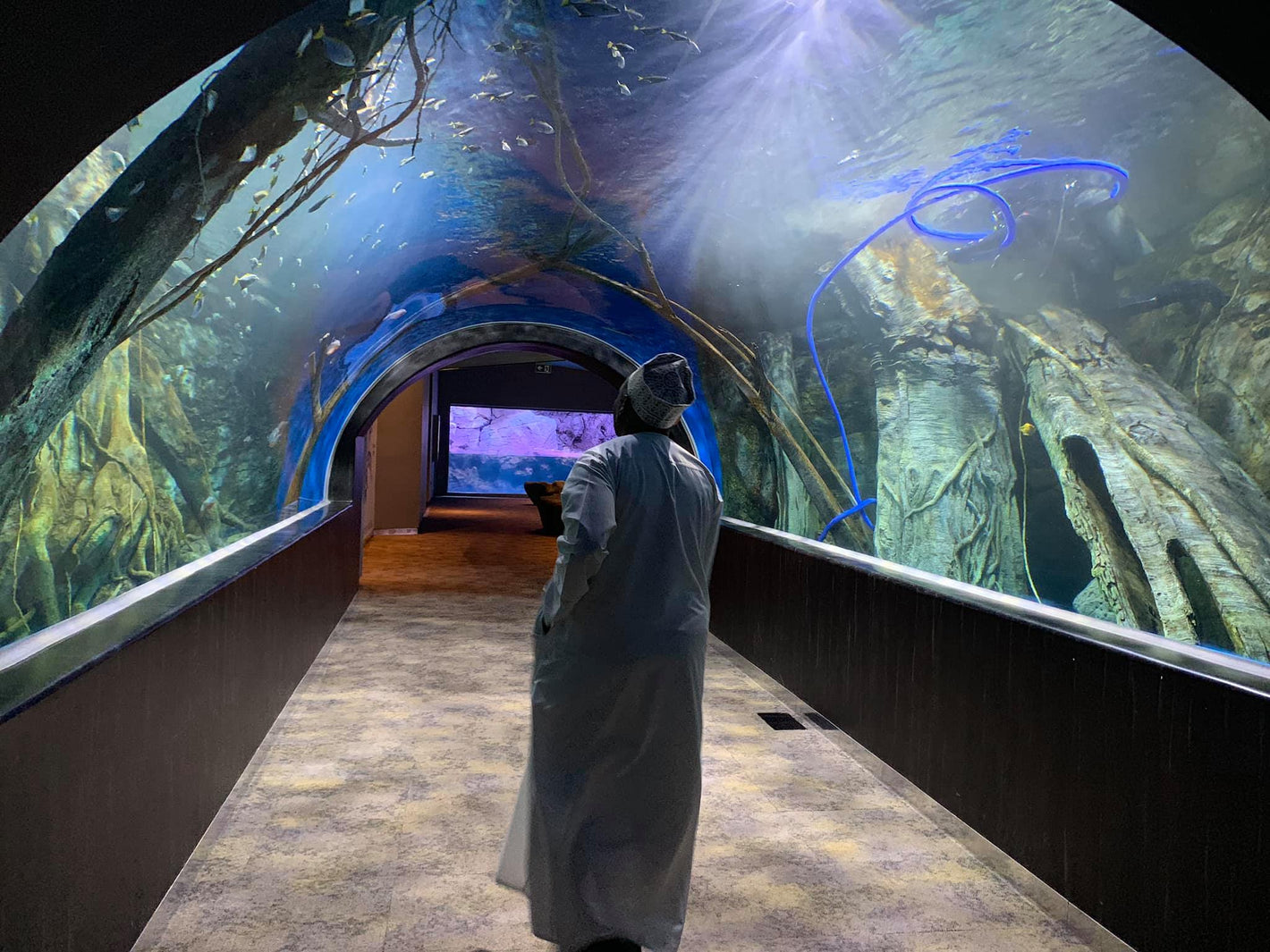 Orphek and Public Aquariums, a long lasting love affair - Part I (Middle East)