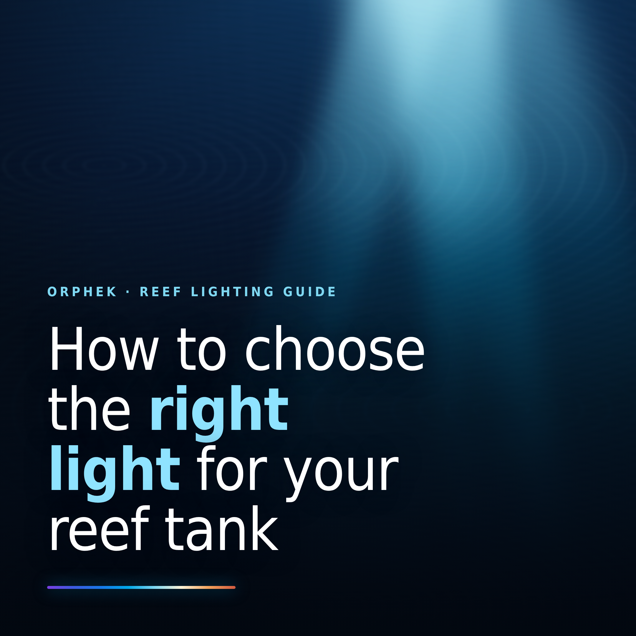 How to choose the right light for your reef tank