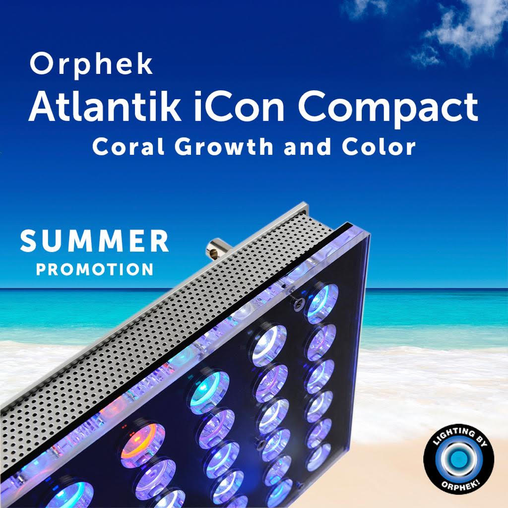 Atlantik iCon Compact - Better Light at Better Price!