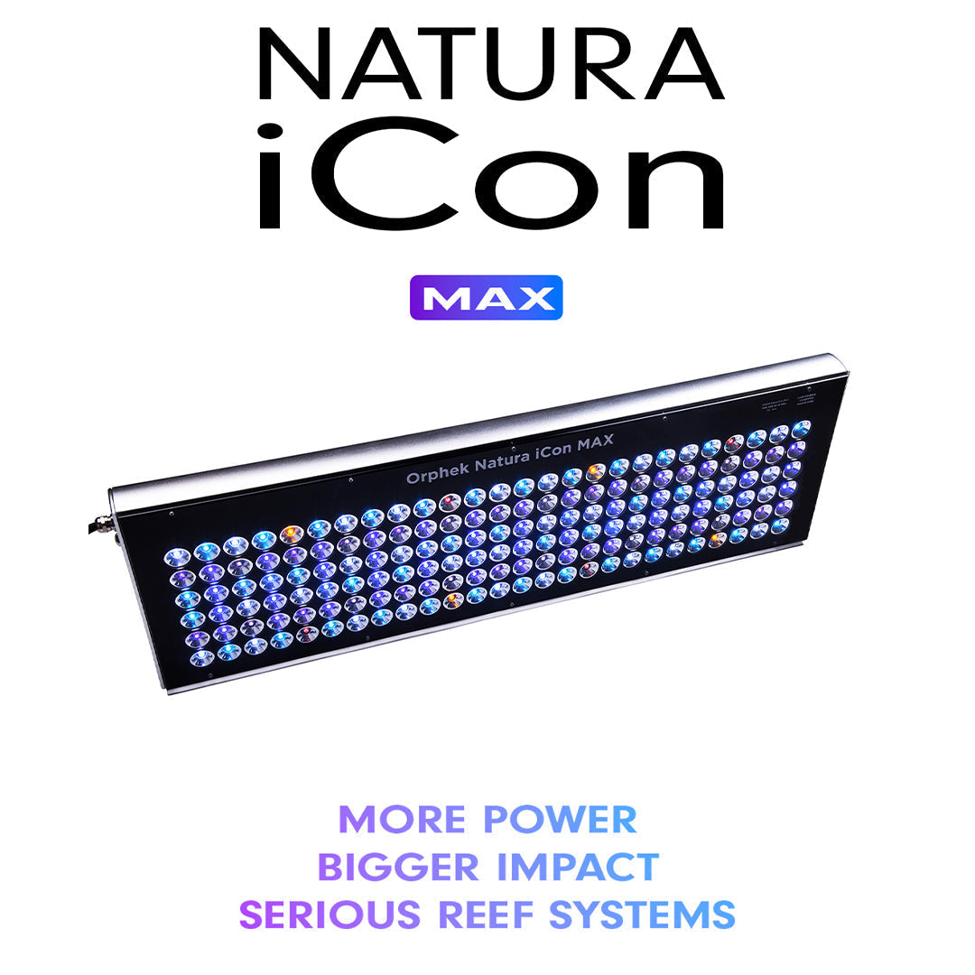 new orphek natura icon max for larger reef aquariums perfect for 120cm x 60cm x 60cm