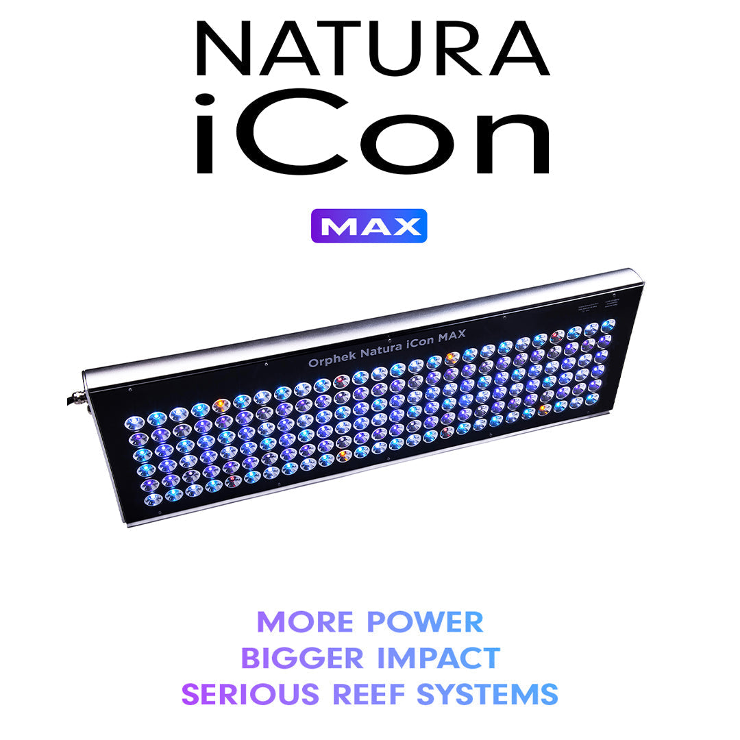new orphek natura icon max for larger reef aquariums perfect for 120cm x 60cm x 60cm