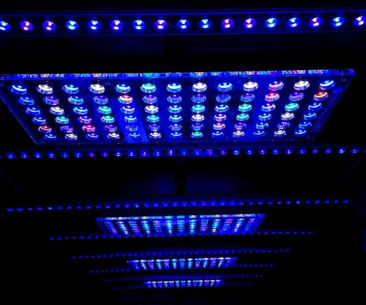 OR3 Reef Aquarium LED Bars Showcase 5