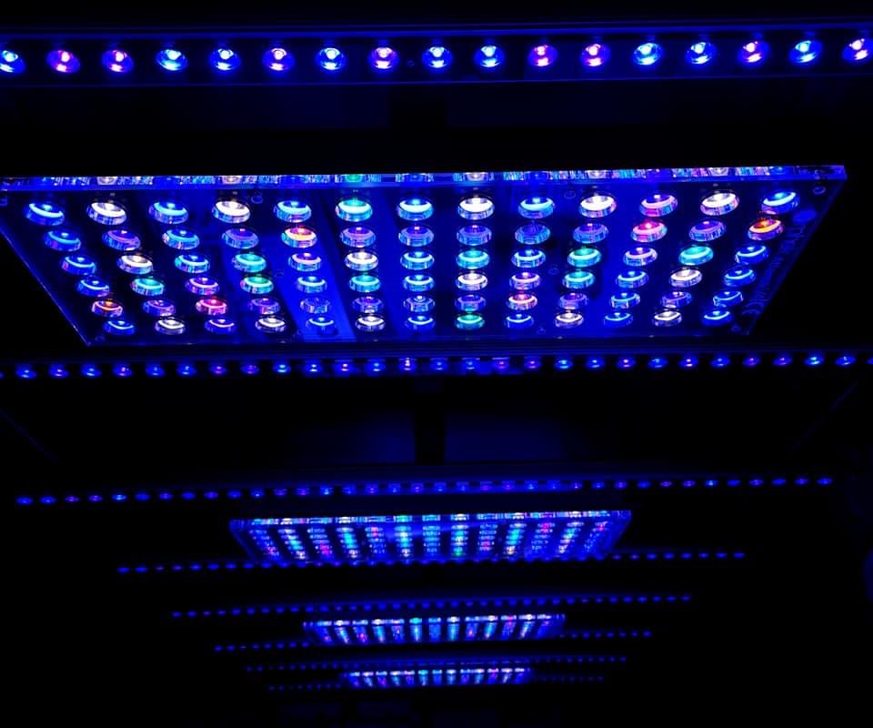 OR3 Reef Aquarium LED Bars Showcase 5