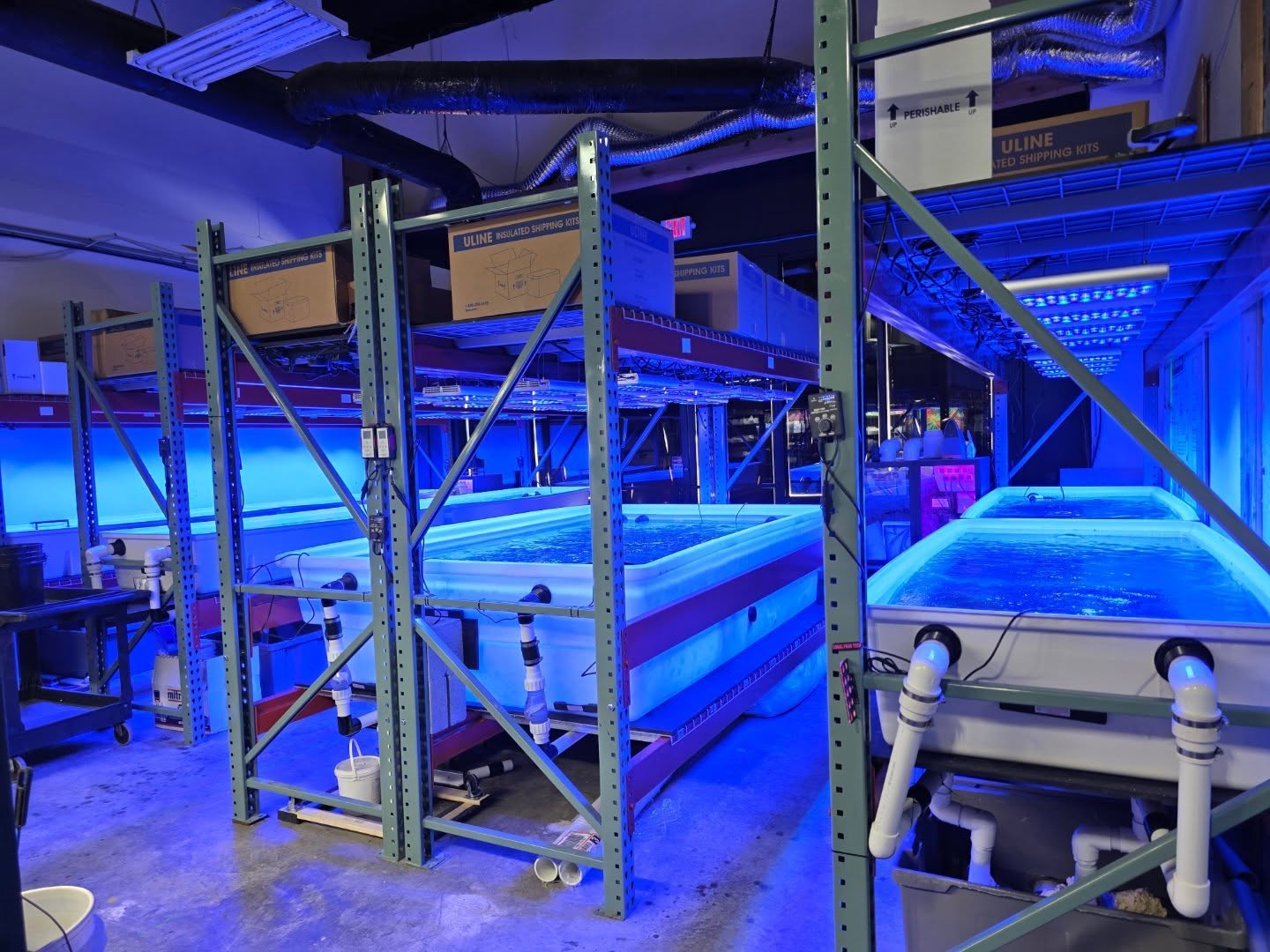 Reefchasers coral farm illuminated by Orphek Natura iCon LED lighting - Photo credit: Steve N.
