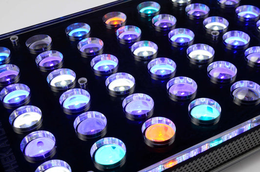 Atlantik_icon_reef_aquarium_led_bar_the_best - Orphek