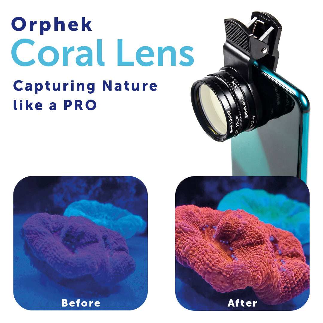 coral_lens_before_and_after - Orphek