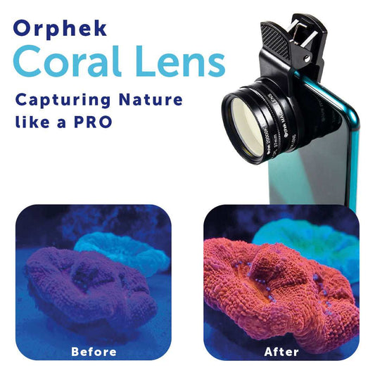 coral_lens_before_and_after - Orphek