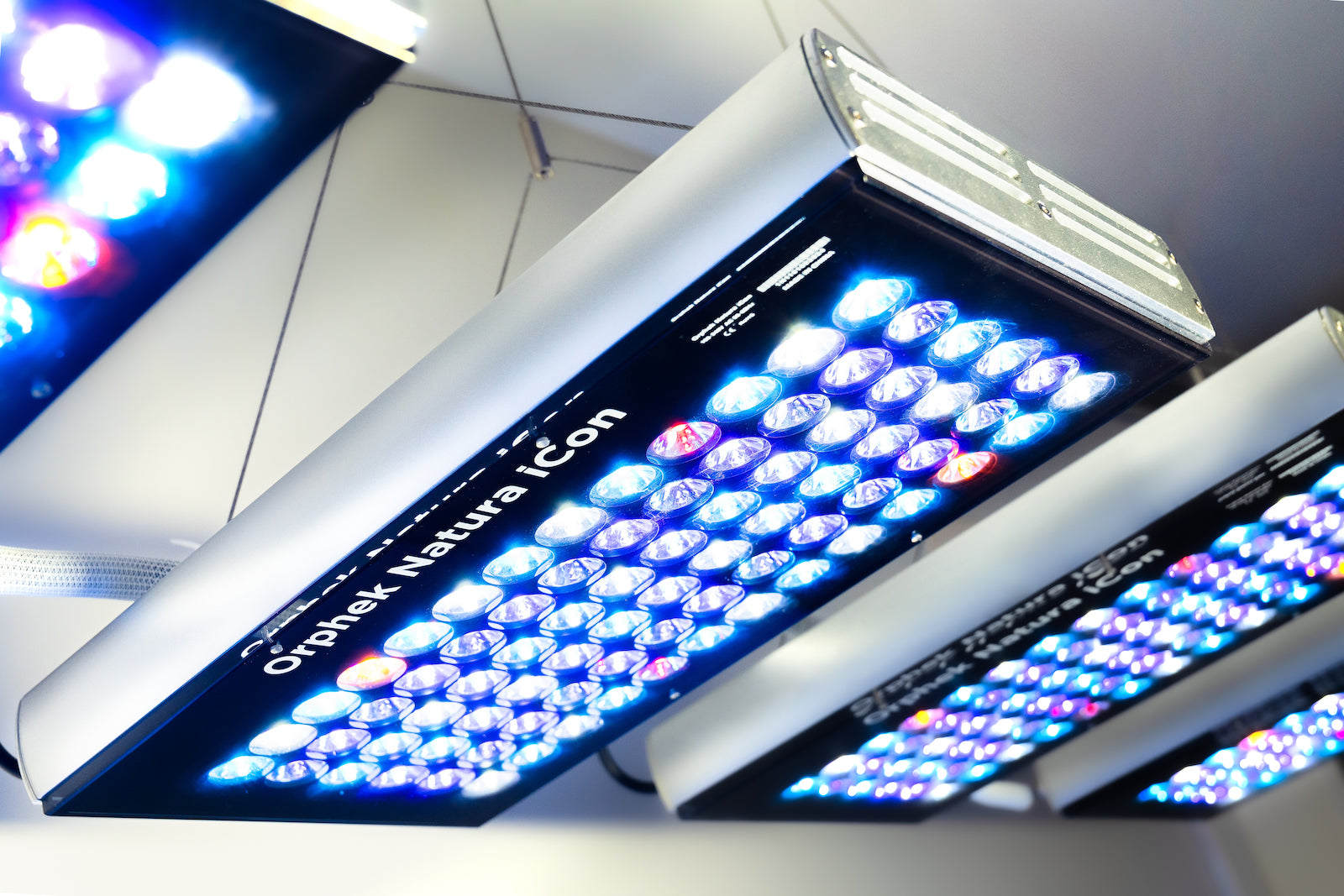Natura iCon - リーフアクアリウム LED 照明 – Orphek