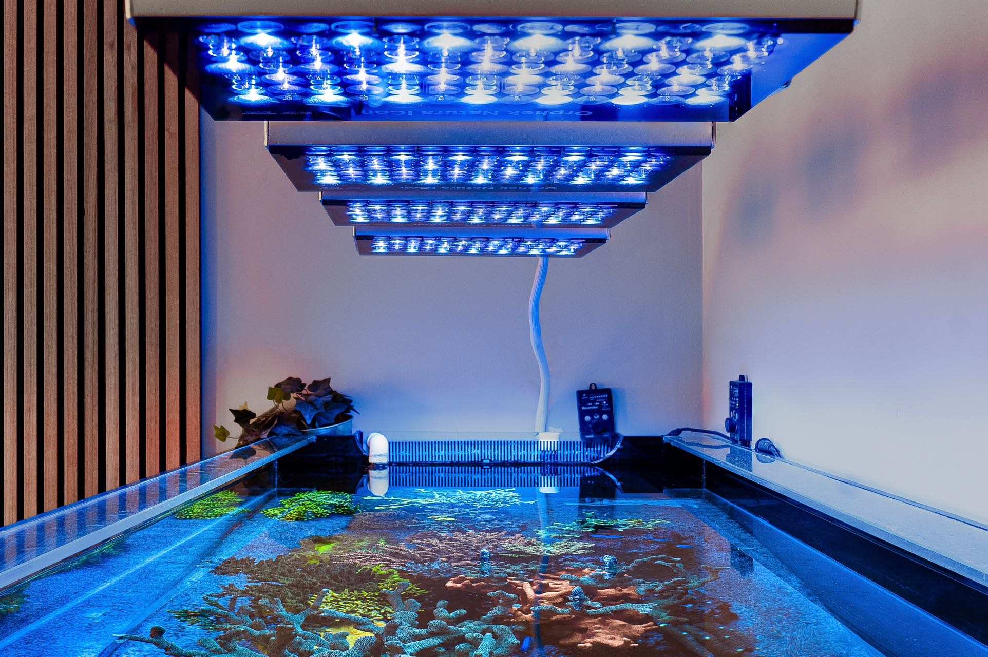 Aquarium Led Light For Basement Floor photo