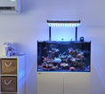 Cargar imagen en el visor de la Galería, new_reef_aquarium_lights_orphek
