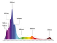 Załaduj obraz do przeglądarki Galerii, or3-reef-day-spectrum
