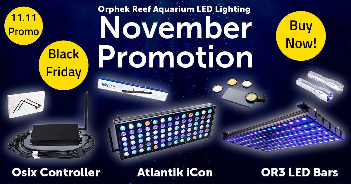 black-friday-2023-reef-aquarium-led-lighting-11-11