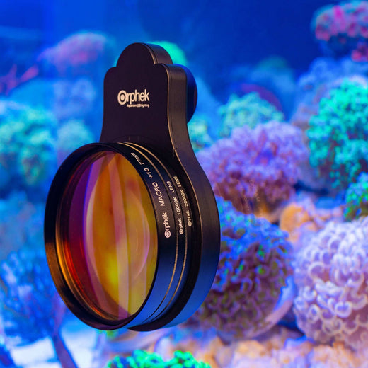 orphek_omini_on_aquarium - Orphek